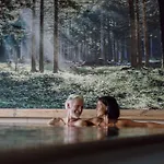 Waldfrieden Отель 4*
