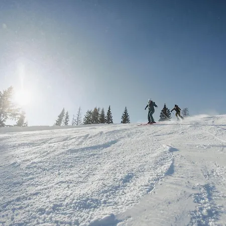 Ξενοδοχείο Waldfrieden Schladming