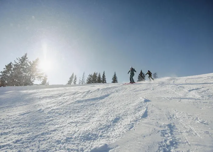 Hotel Waldfrieden Schladming
